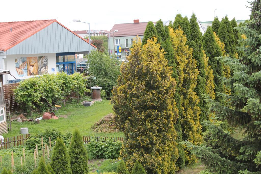 Apartament U Marzenki Augustów Eksteriør bilde
